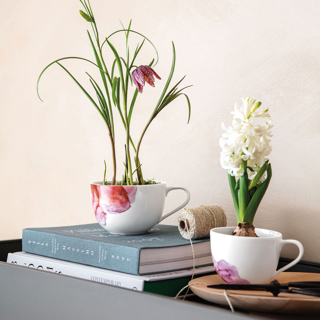 Villeroy & BochFrühstücksobertasse 300ml