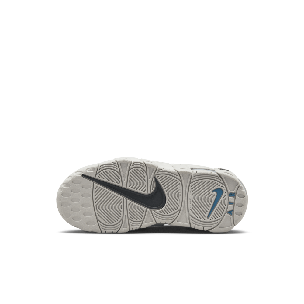 Nike Air More Uptempo FJ1389-001 / grau