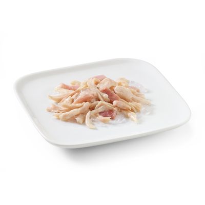 Sparpaket Schesir 12 x 150 g