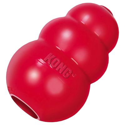 KONG Sparset: Frisbee, KONG Classic, Tennisbälle
