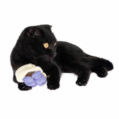 TIAKI Katzenspielzeug Strick-Sardinen mit Katzenminze
