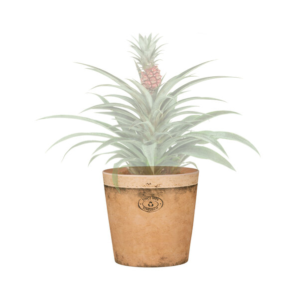Keramik-Blumentopf 3er Set Ø 16 cm, Toscana Luminoso