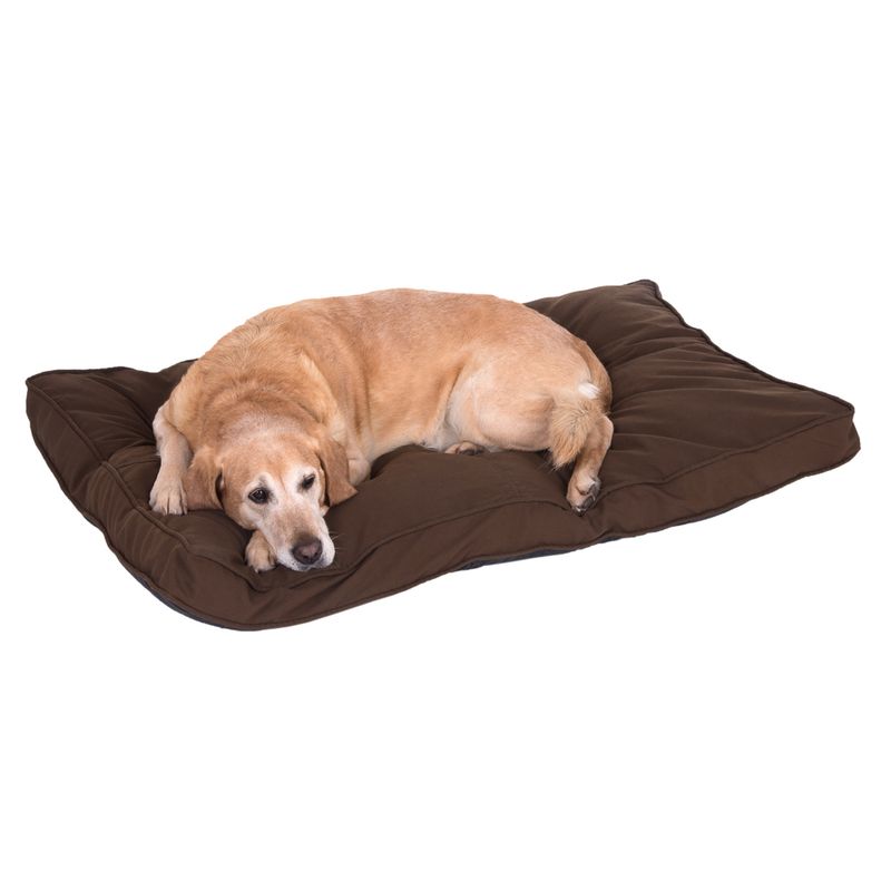 Cozy Hundekissen Mocca zu TOP-Preisen