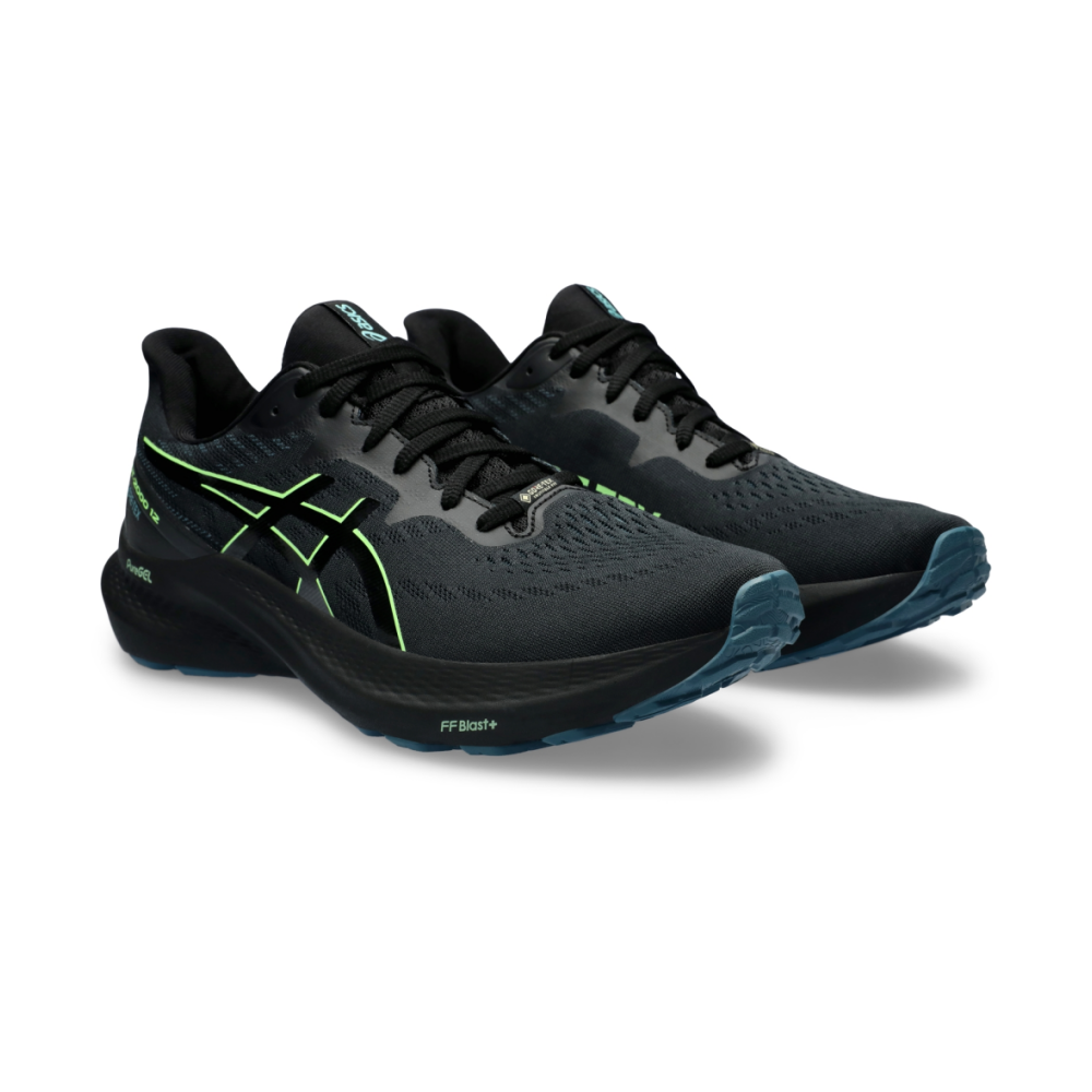 Asics GT 2000 12 GTX 1011B687-001 / schwarz