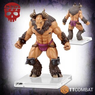 Rumbleslam - The Raging Beasts