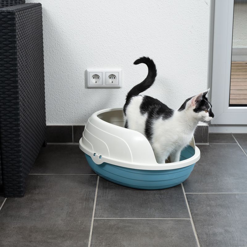 TIAKI Schalentoilette Cobby zu TOP-Preisen