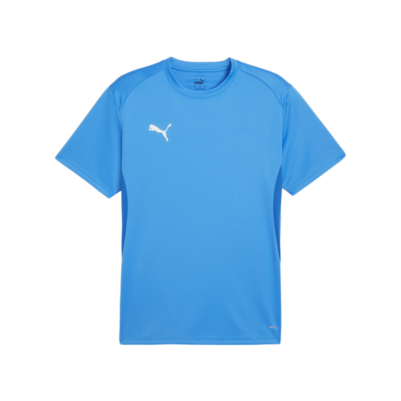 PUMA teamGOAL Trikot Blau F02