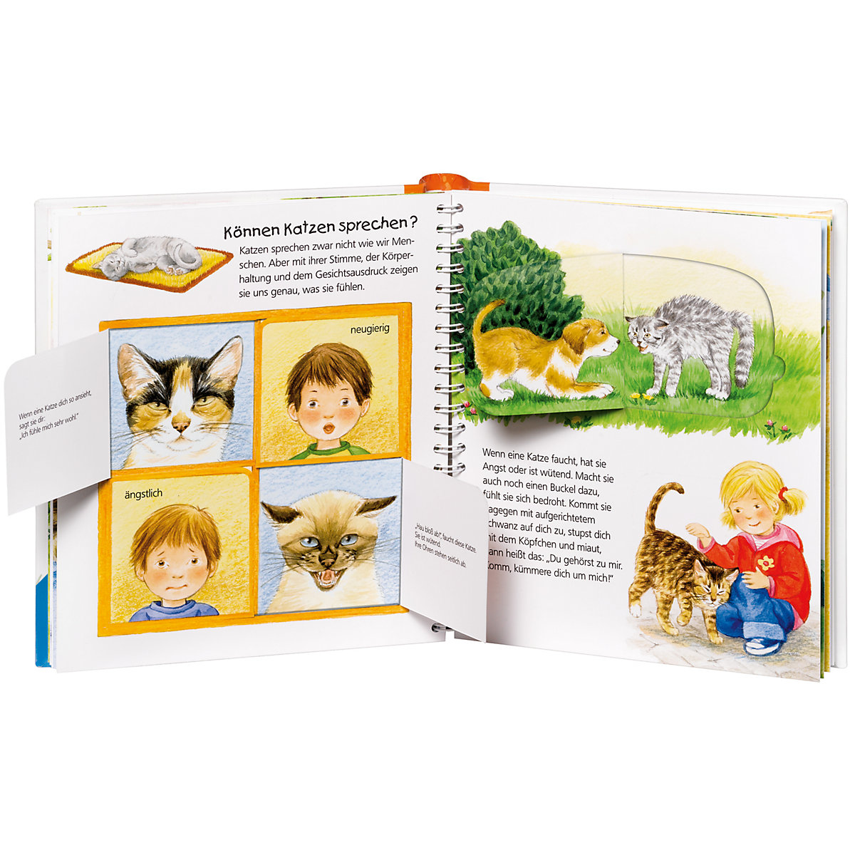 WWW junior Die Katze