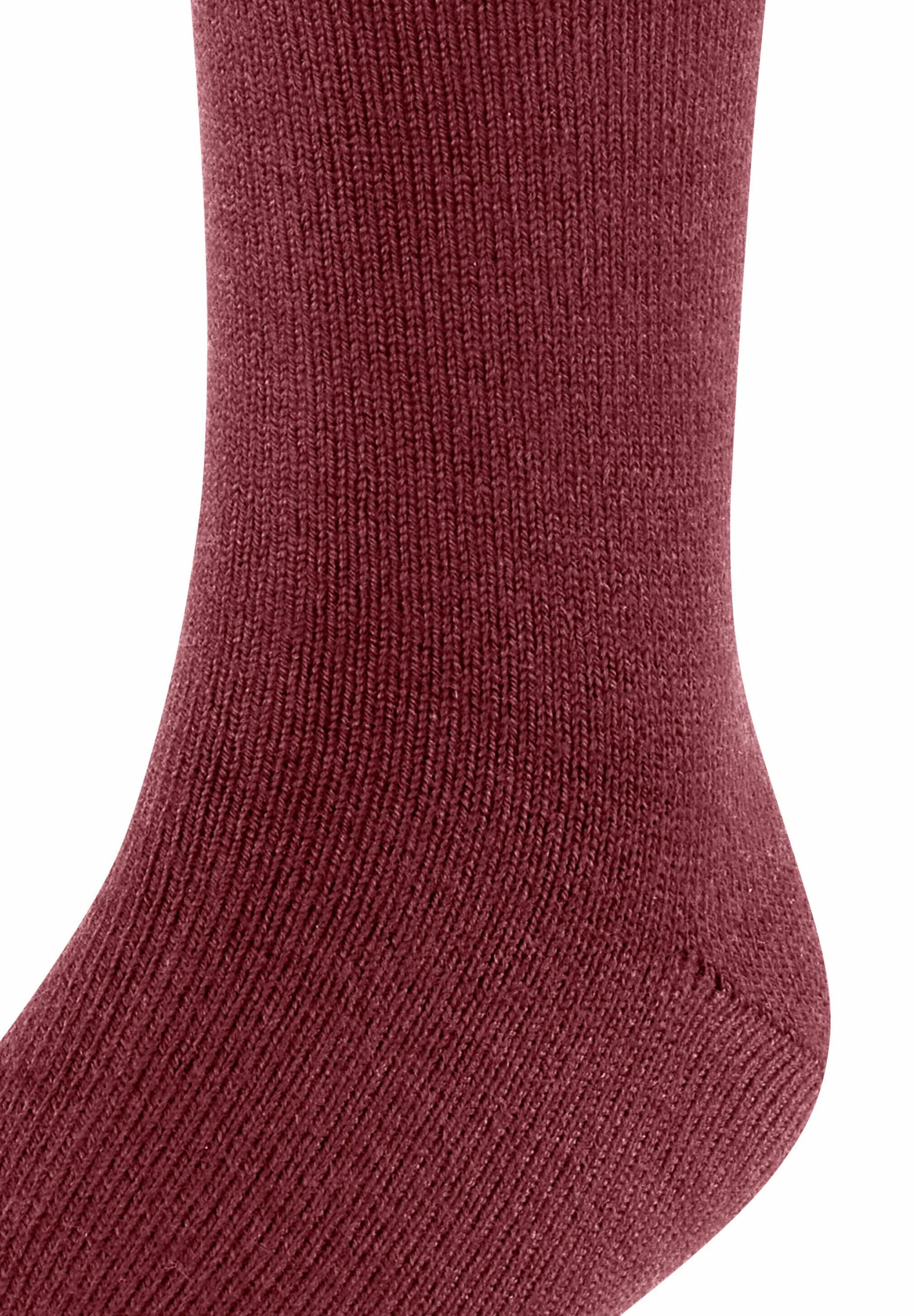 Calcetines de lana FALKE Comfort Warm