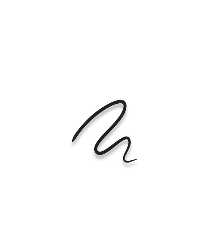 ARCANCIL-LINER CABARET-Eyeliner Pinceau - Tenue Extrême - Vegan