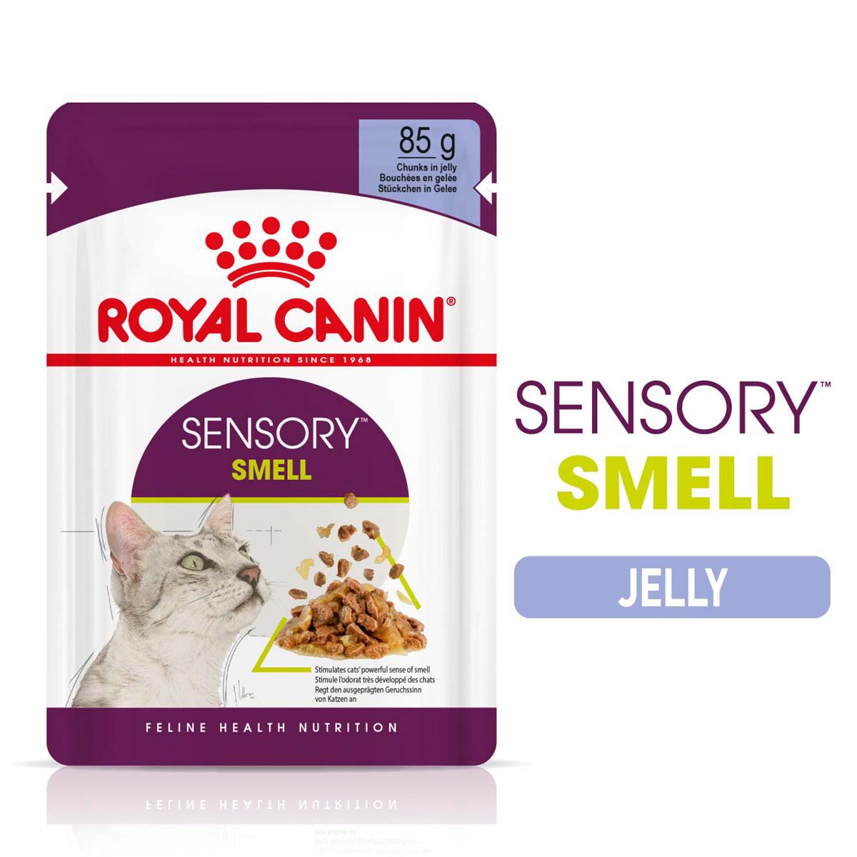 Royal Canin Sensory Smell Jelly günstig kaufen bei ZooRoyal