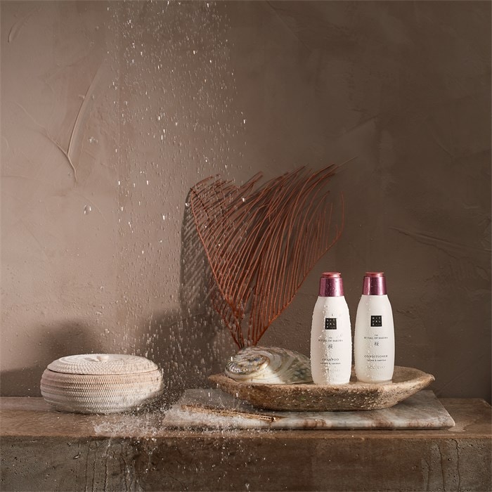 Conditioner