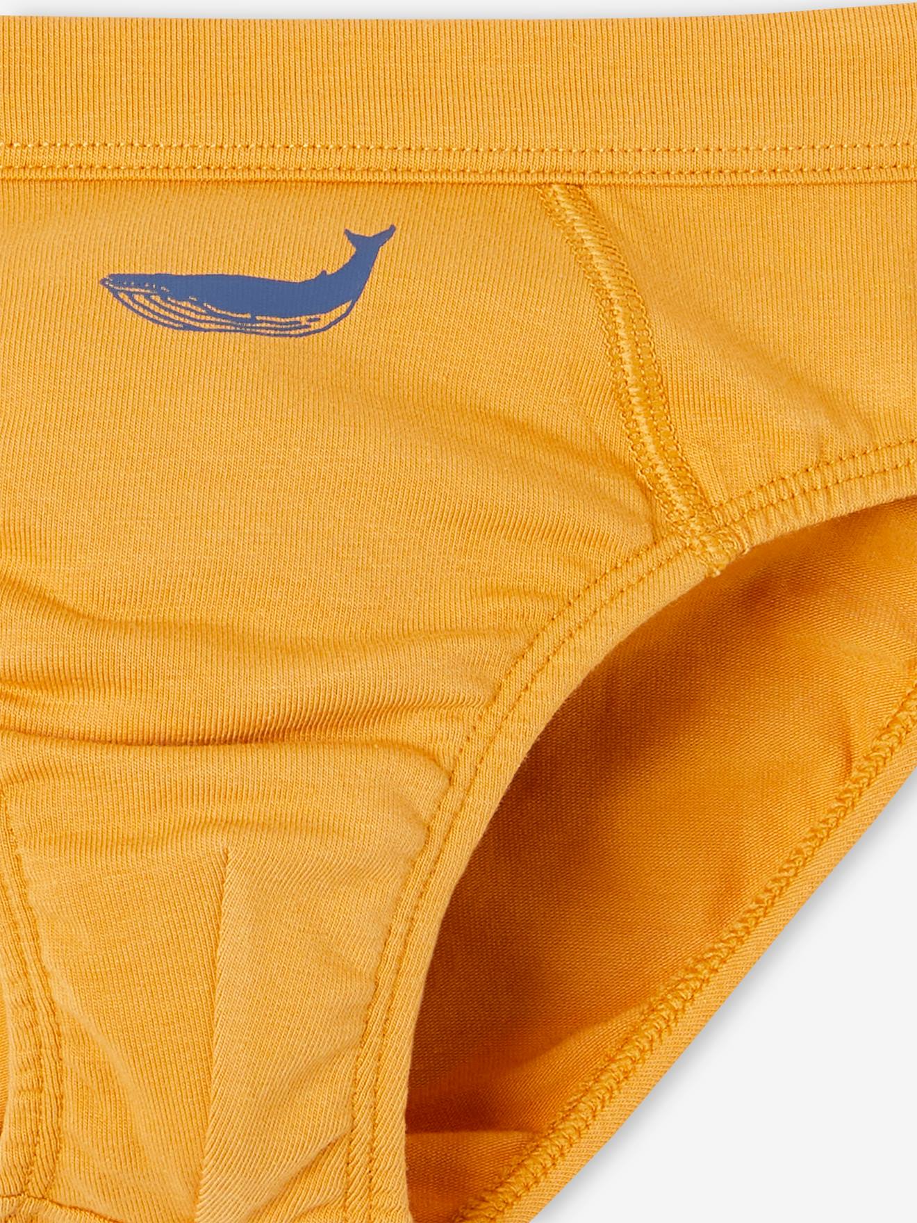 Vertbaudet 7er-Pack Jungen Slips mit Bio-Baumwolle, Wale - himmelblau