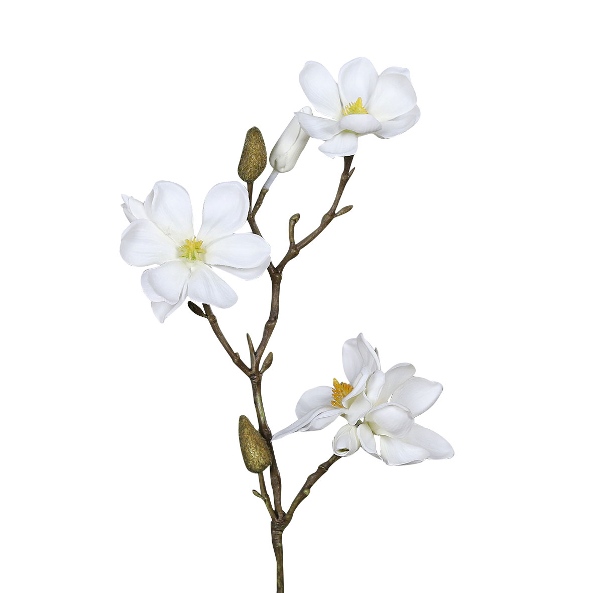 DPIMagnolienzweig 40cm