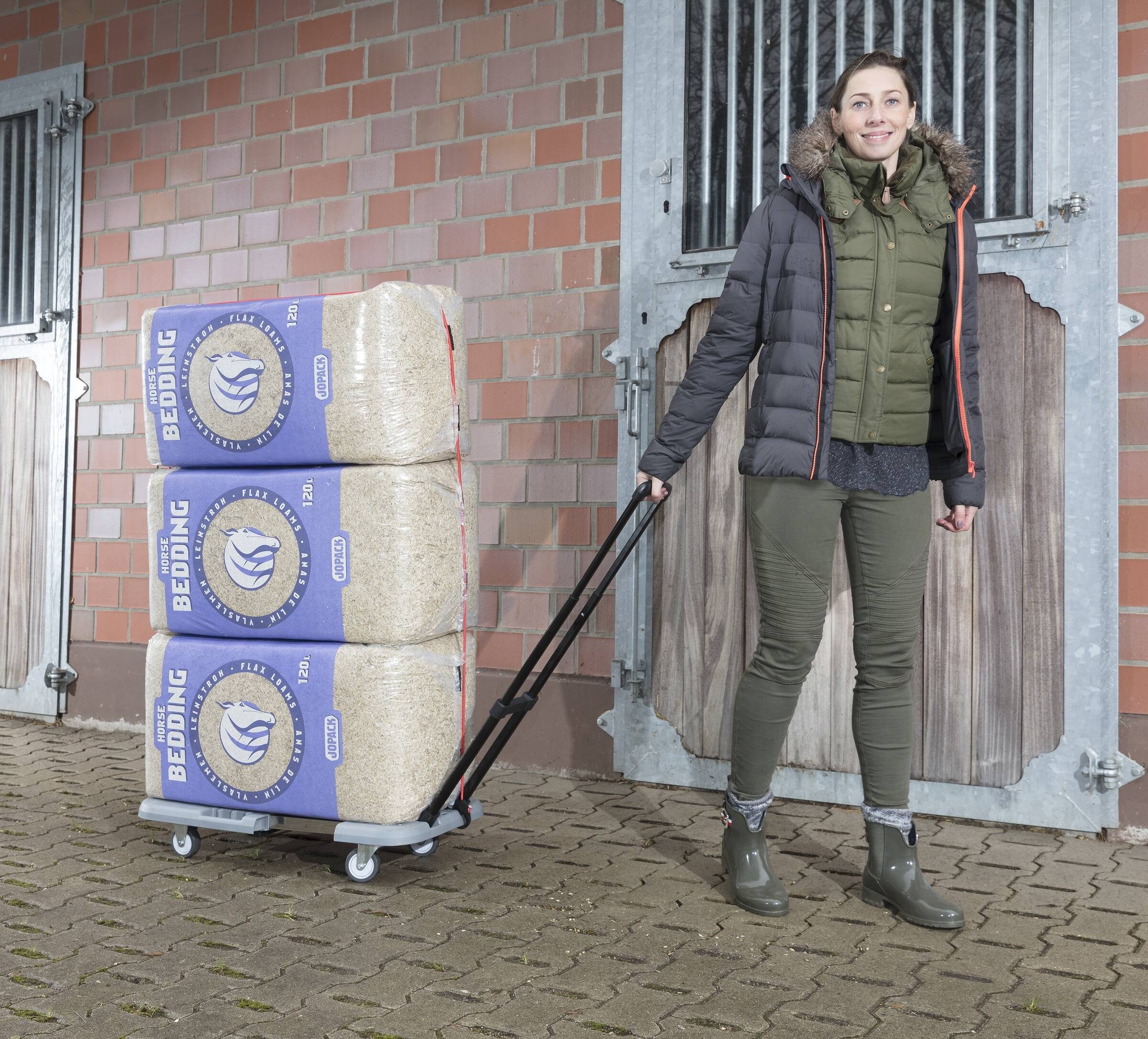 Westfalia Werkzeug Transportkarren 4 in 1 Schwerlast „TransPorter“