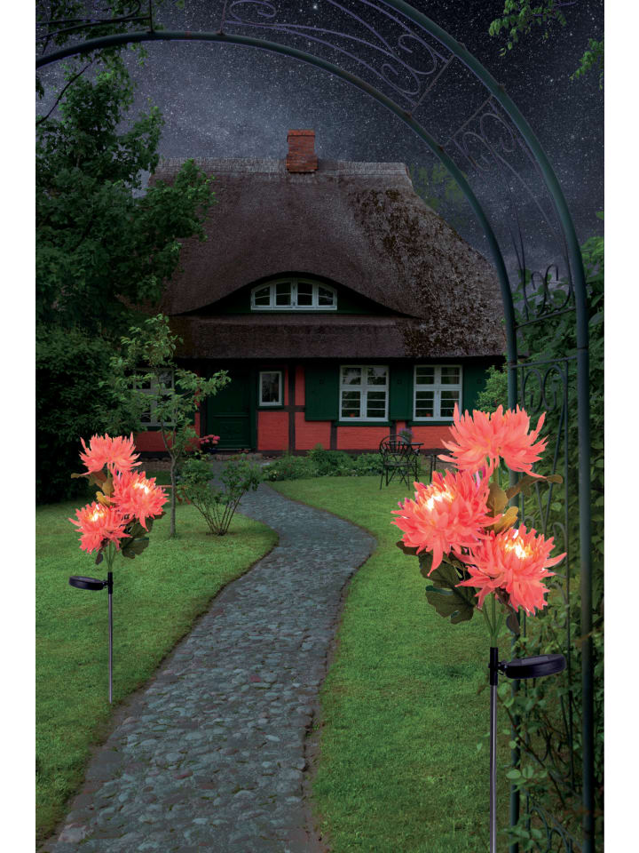 näve LED Solarleuchte 