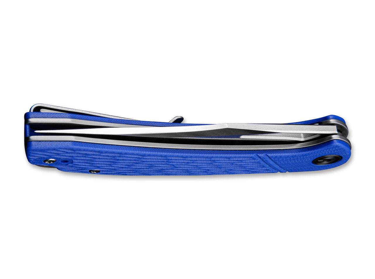 Dogma Blue