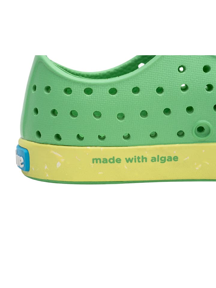 Native Slipper in Grün günstig kaufen