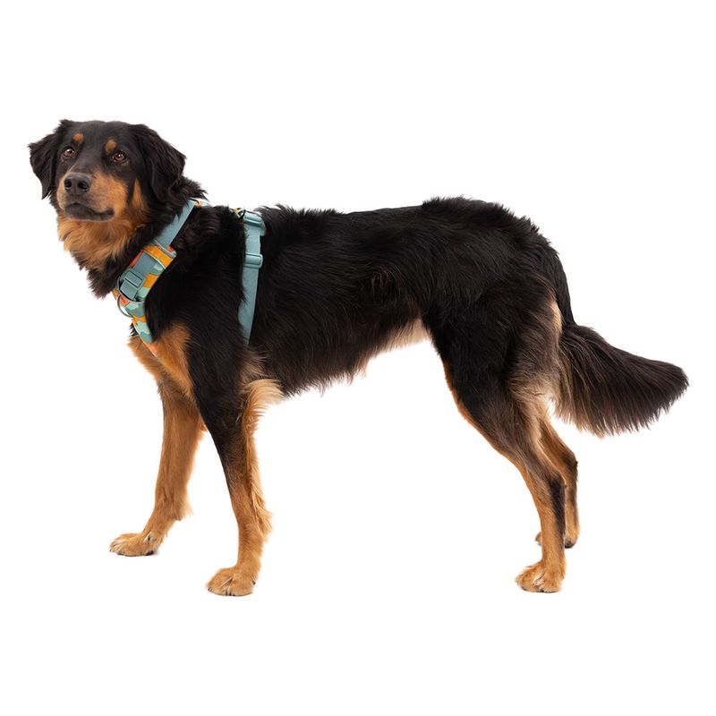 Ruffwear Front Range Hundegeschirr, Spring Mountains | bitiba.de