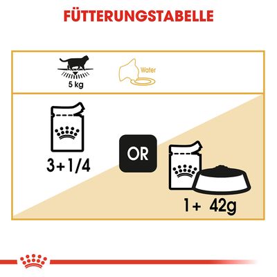 Royal Canin British Shorthair Adult in Soße