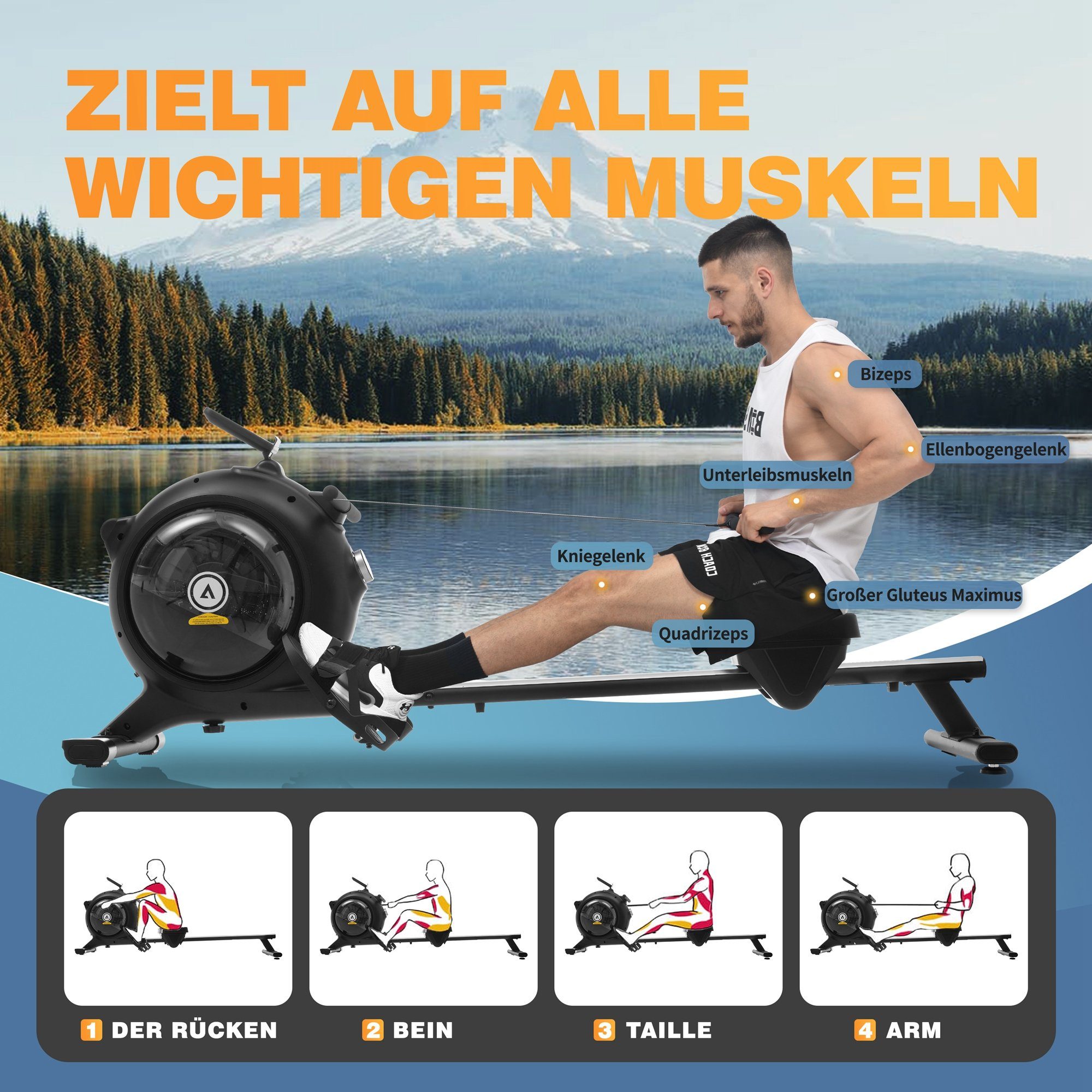 Merax Rudergerät mit APP, Bluetooth und LED-Display, 2 in 1 Wasserrudergerät mit magnetischen Widerstand