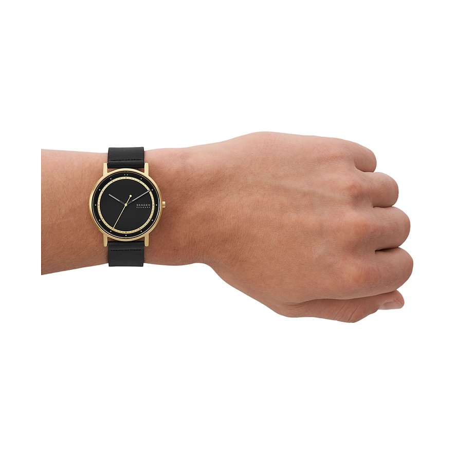 Skagen Herrenuhr SIGNATUR