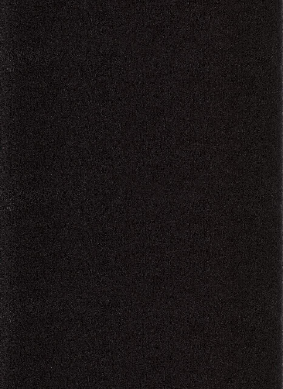 Ayyildiz Teppich, CATWALK 2600, BLACK, 120 x 160 cm