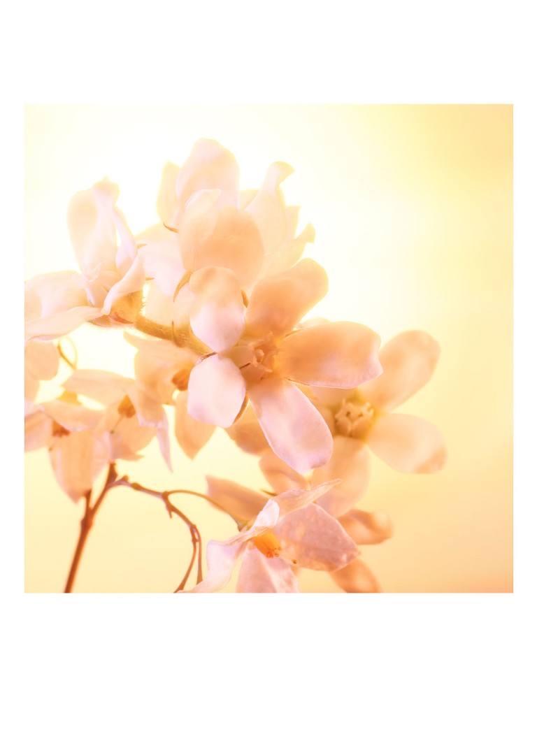 Charlotte Tilbury Joyphoria Eau de Parfum - dimensiune călătorie