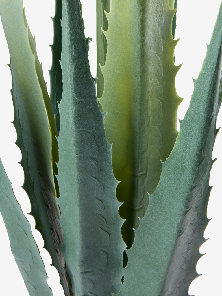 TOPPMEIS Kunstig plante TOPPMEIS B105cm grønn agave