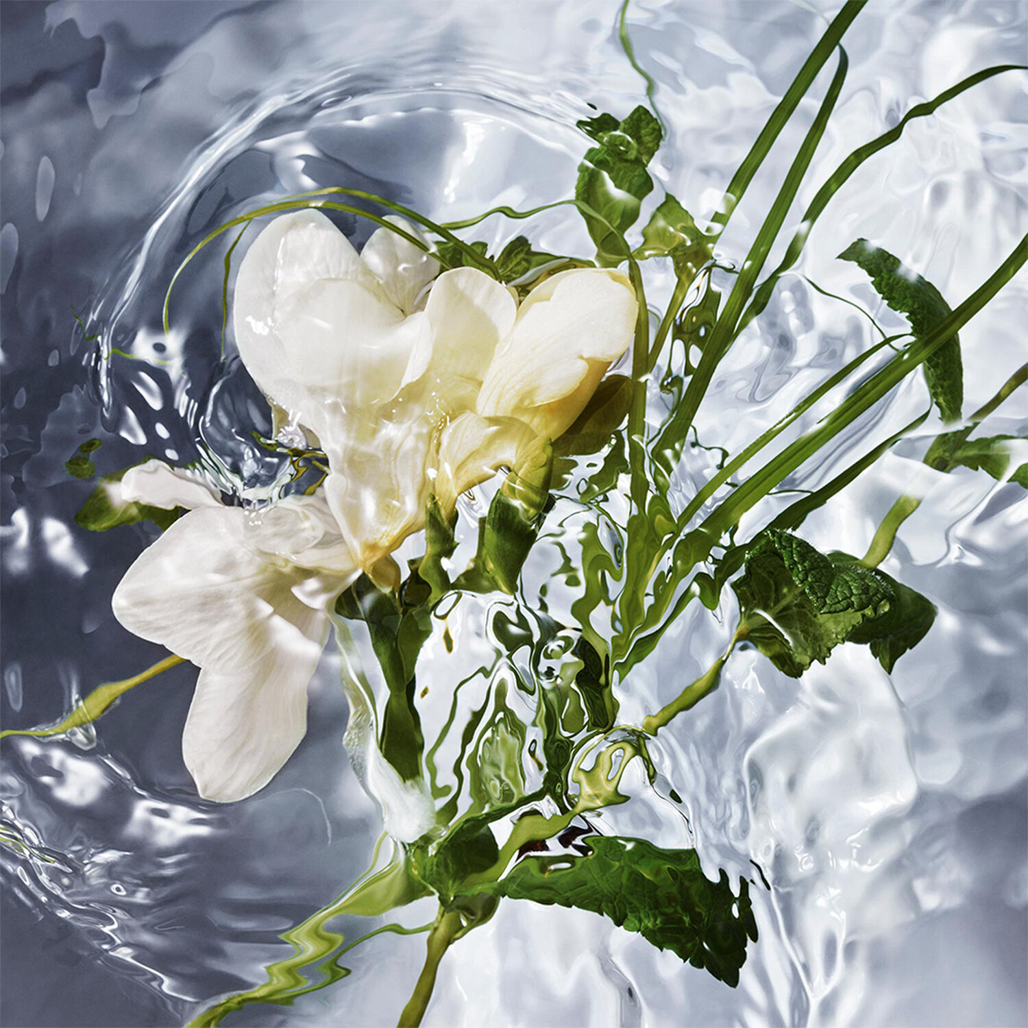 Guerlain Aqua Allegoria Herba Fresca Eau de Toilette