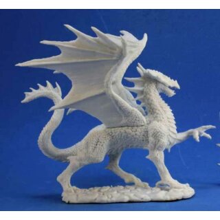 Silver Dragon