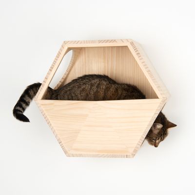 Modern Living Kratzmöbel - Katzen Parkour zur Wandmontage