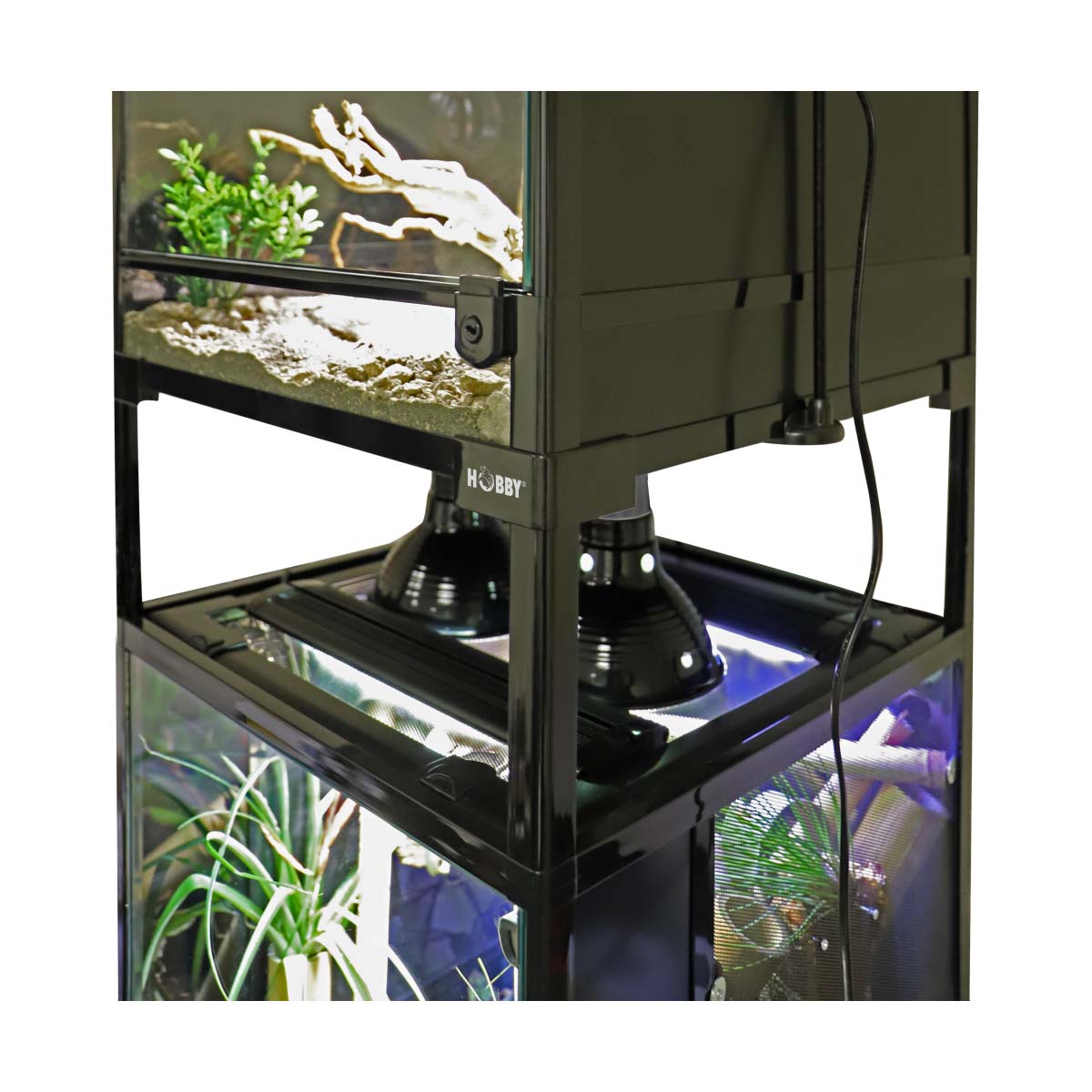 Hobby Faltterrarium Terra Fix & Easy günstig kaufen