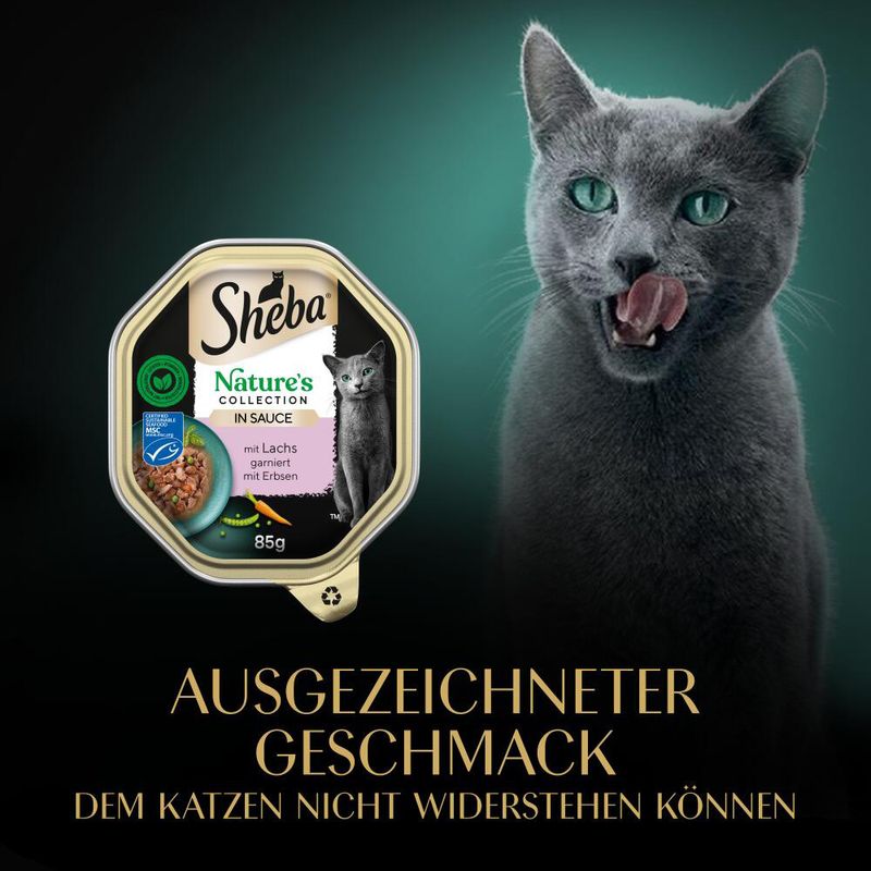 Sheba Nature´s Collection in Sauce 22 x 85 g
