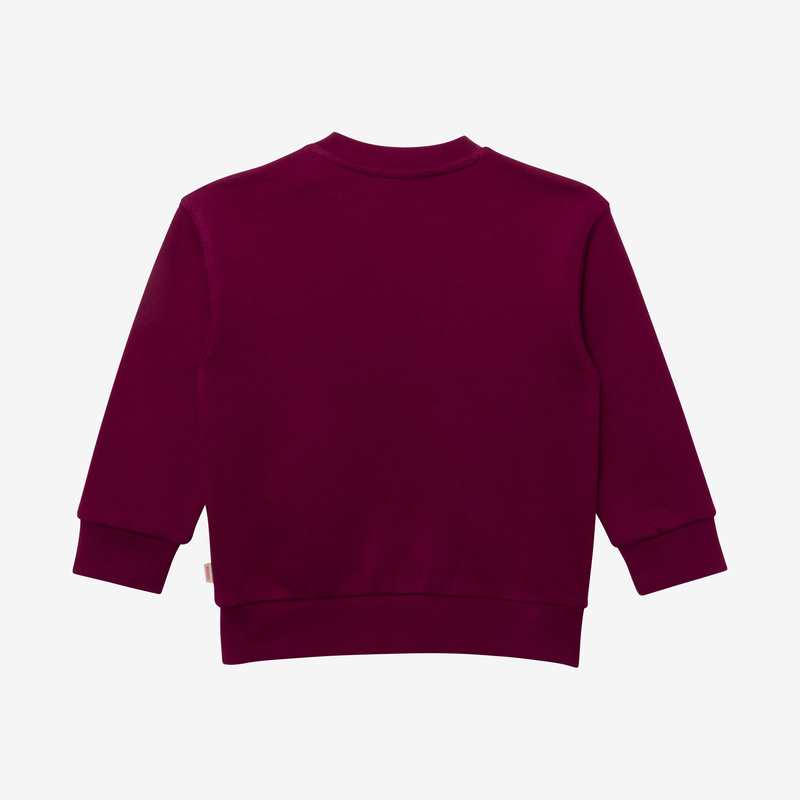 Sweat bébé garçon violet en coton recyclé Catimini