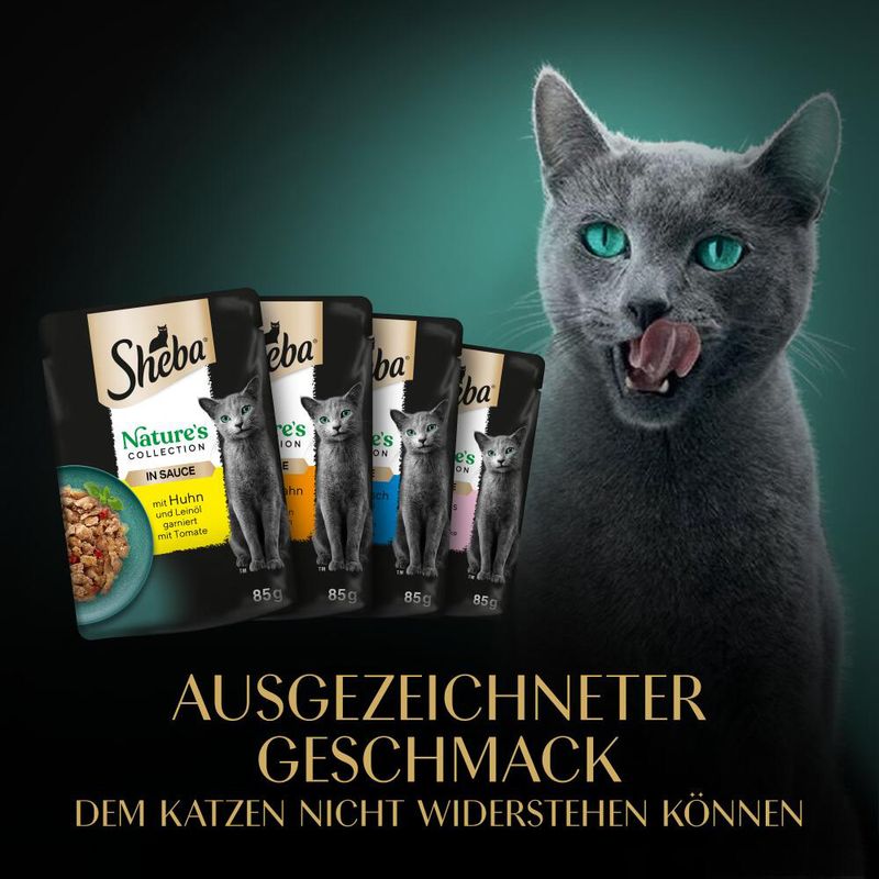 Sparpaket Sheba Nature's Collection in Sauce 144 x 85 g | bitiba