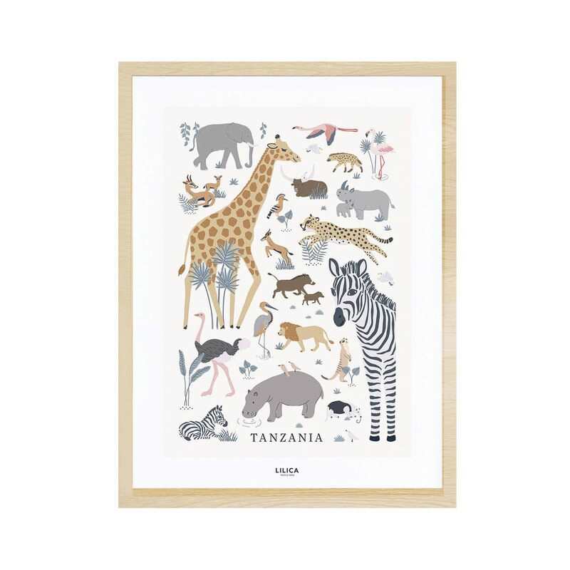 Affiche encadrée Animaux de la jungle Lilipinso and Co