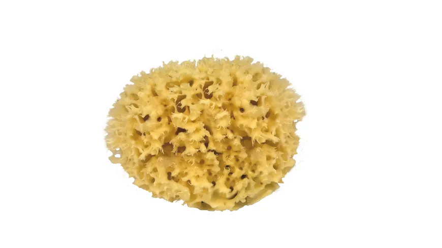 Croll & Denecke Naturschwamm 10 cm