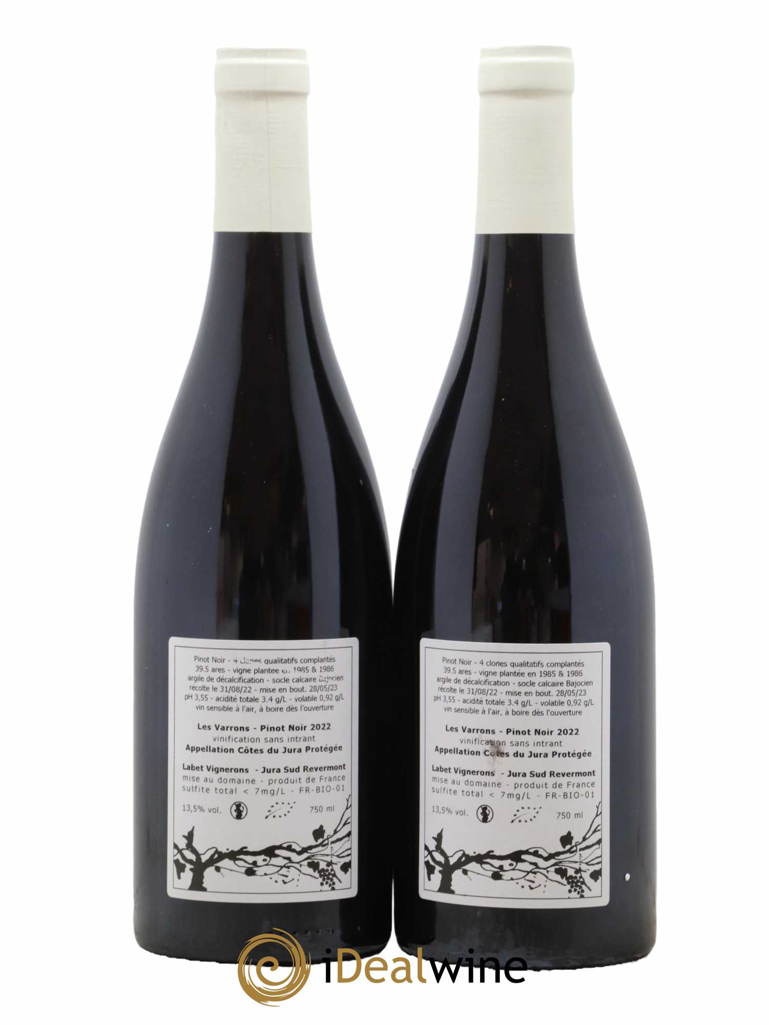 Côtes du Jura Pinot Noir Les Varrons Labet (Domaine)  2022 - Lot de 2 Bouteilles