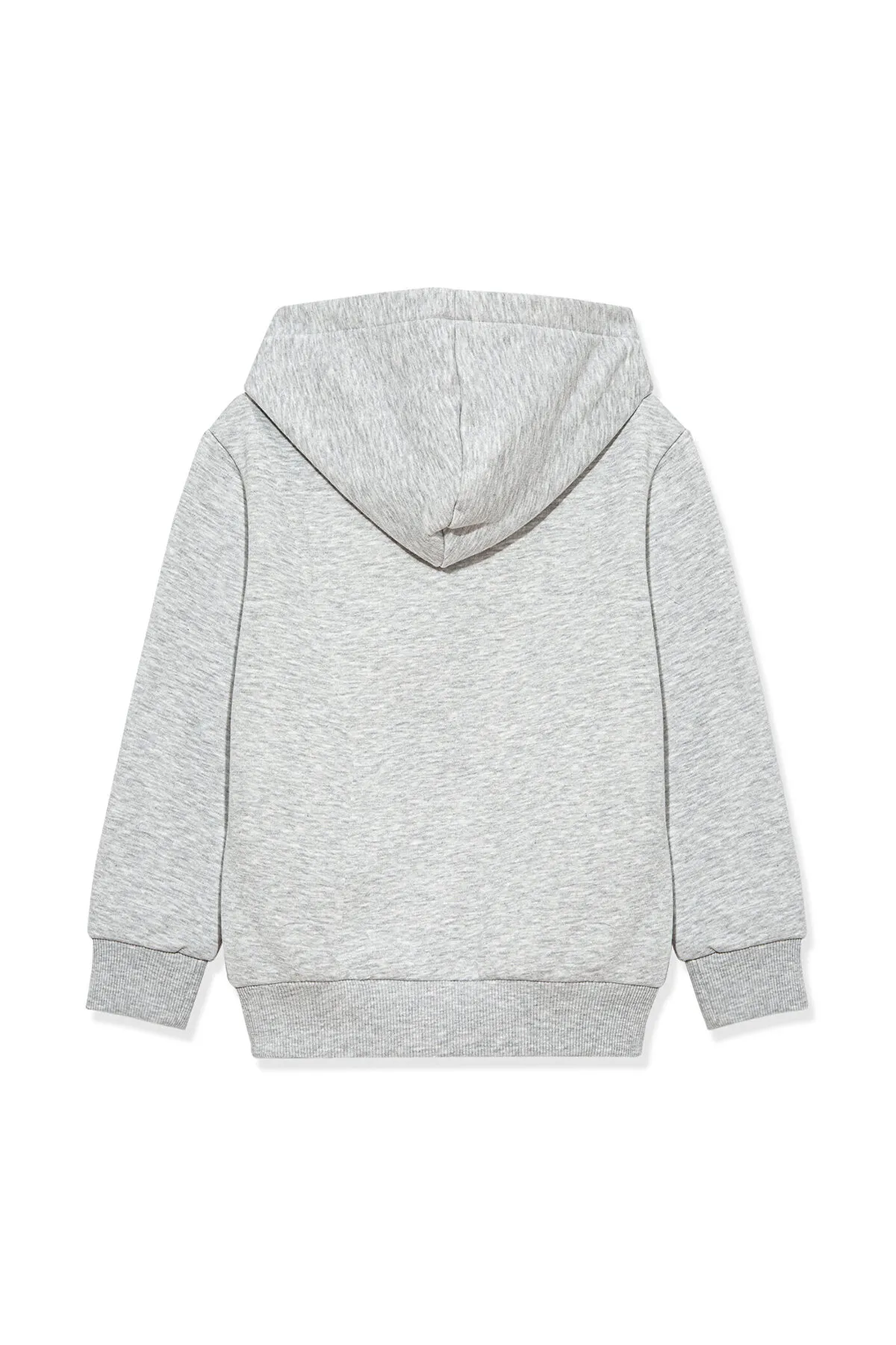 Mavi  Sweatshirt - Grau - Regular Fit