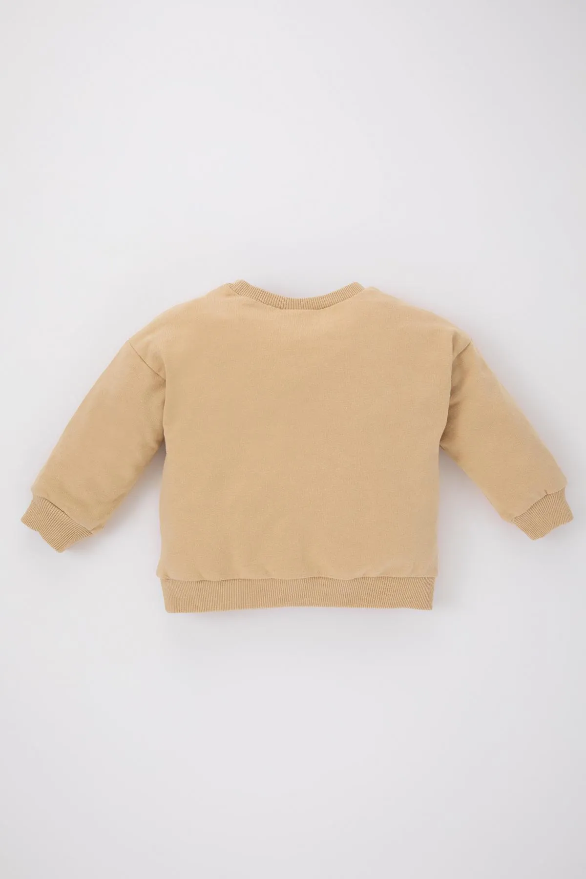 DeFacto  Weiches, flauschiges Sweatshirt mit Dinosaurier-Aufdruck und Rundhalsausschnitt für Babys (Jungen).