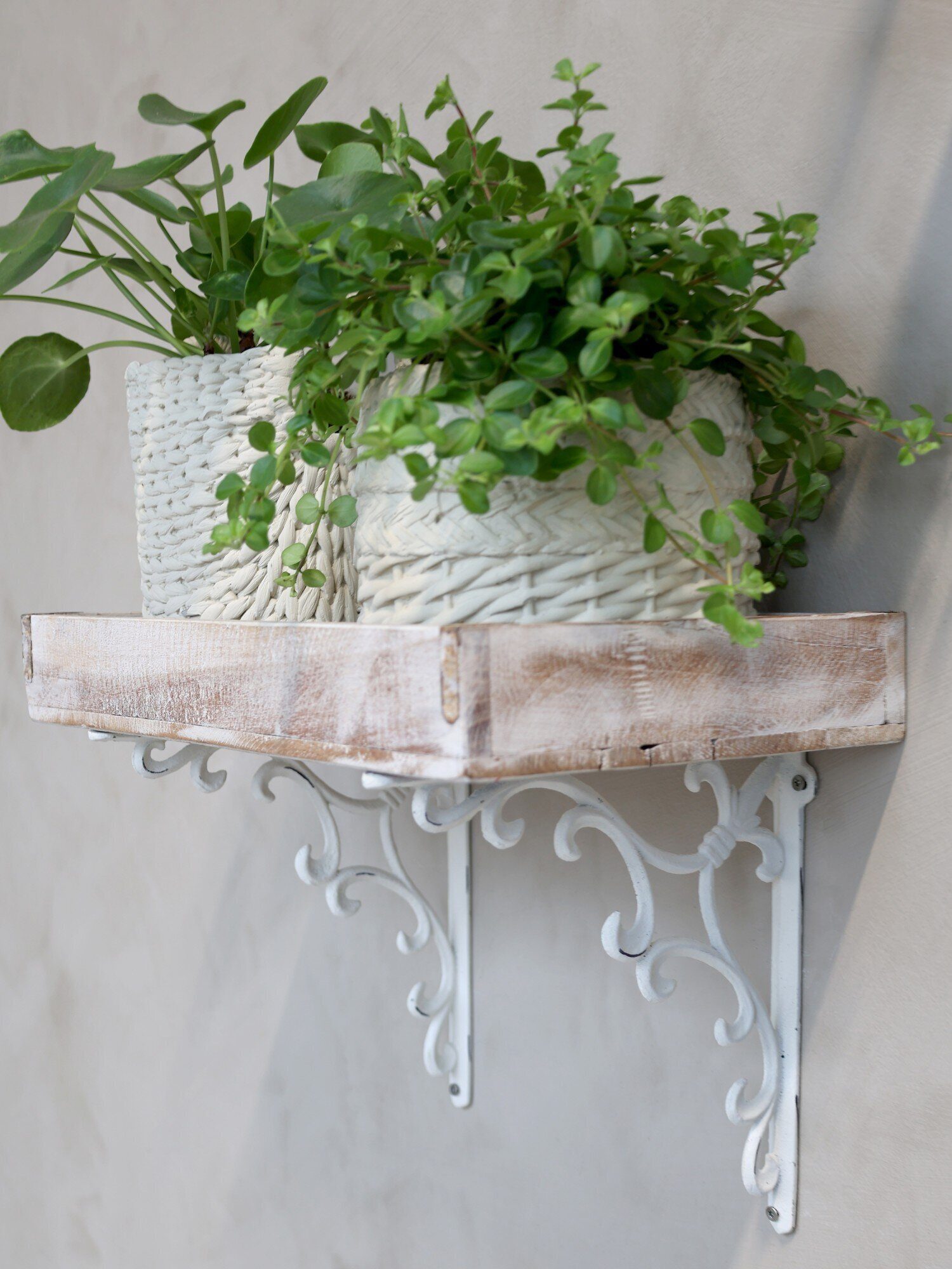 Chic Antique Übertopf Corte Flechtmuster