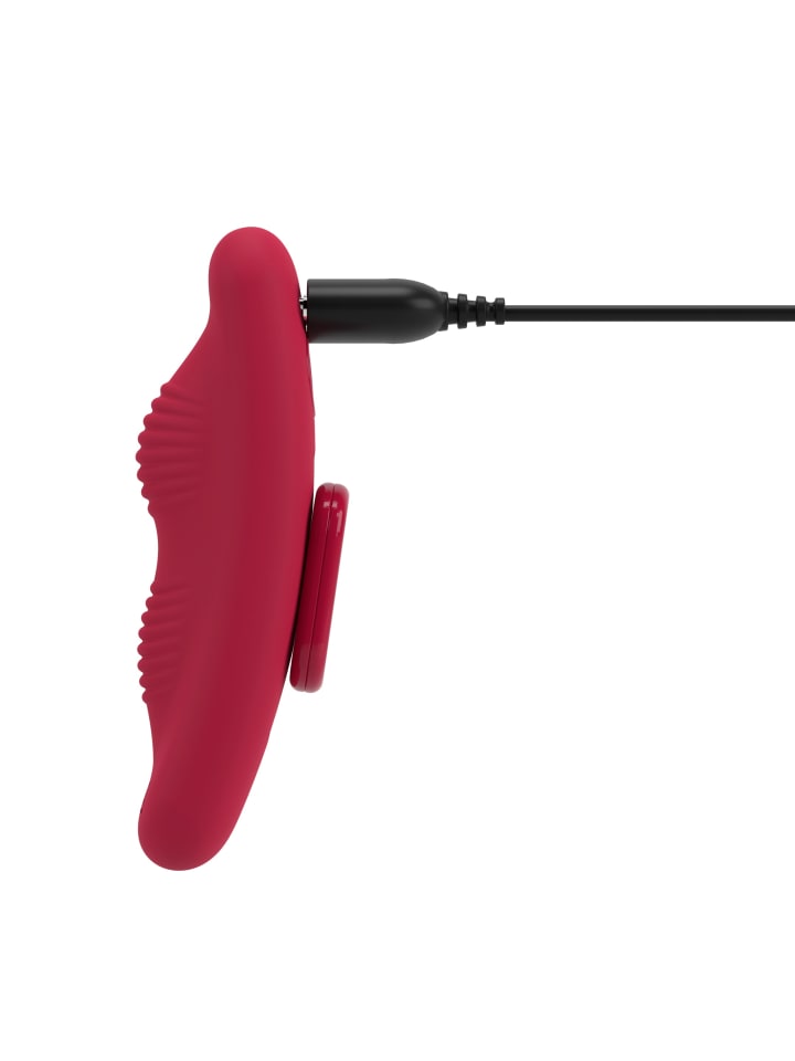 Sweet Smile Panty Vibrator RC Panty Vibrator in rot günstig kaufen 9,5