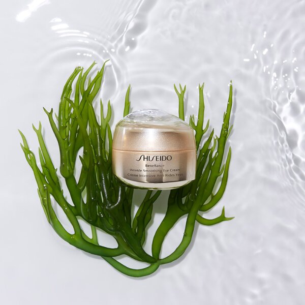 Shiseido Benefiance Wrinkle Smoothing Eye Cream Augencreme