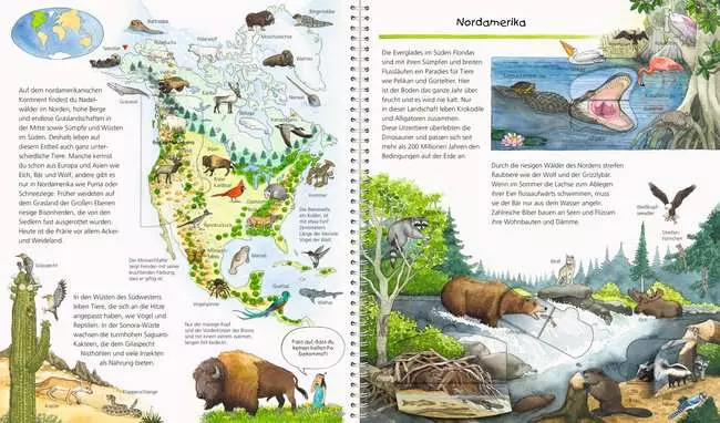 Ravensburger Wieso? Weshalb? Warum?: Mein großer Tieratlas