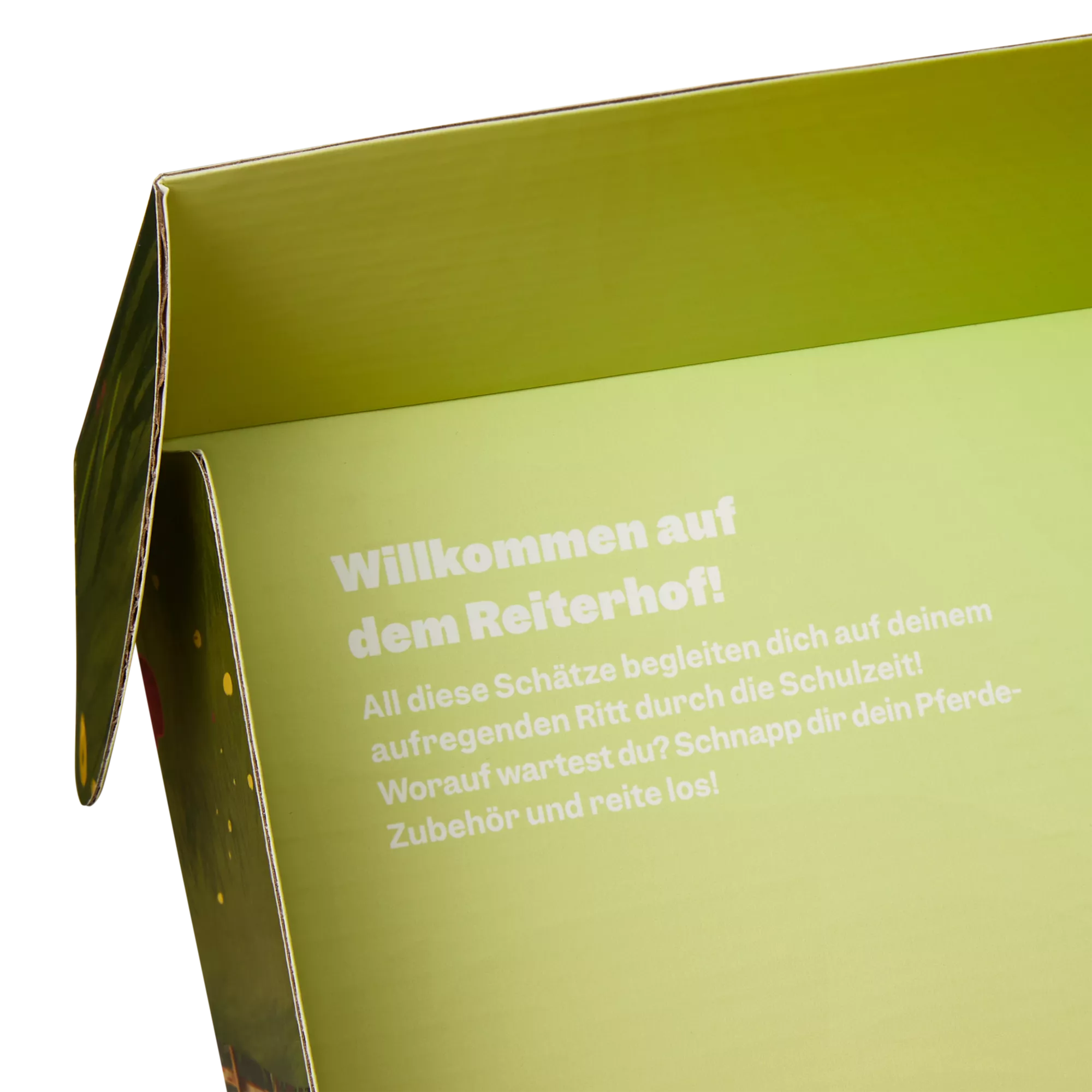 Ergobag Fan Box Pferde