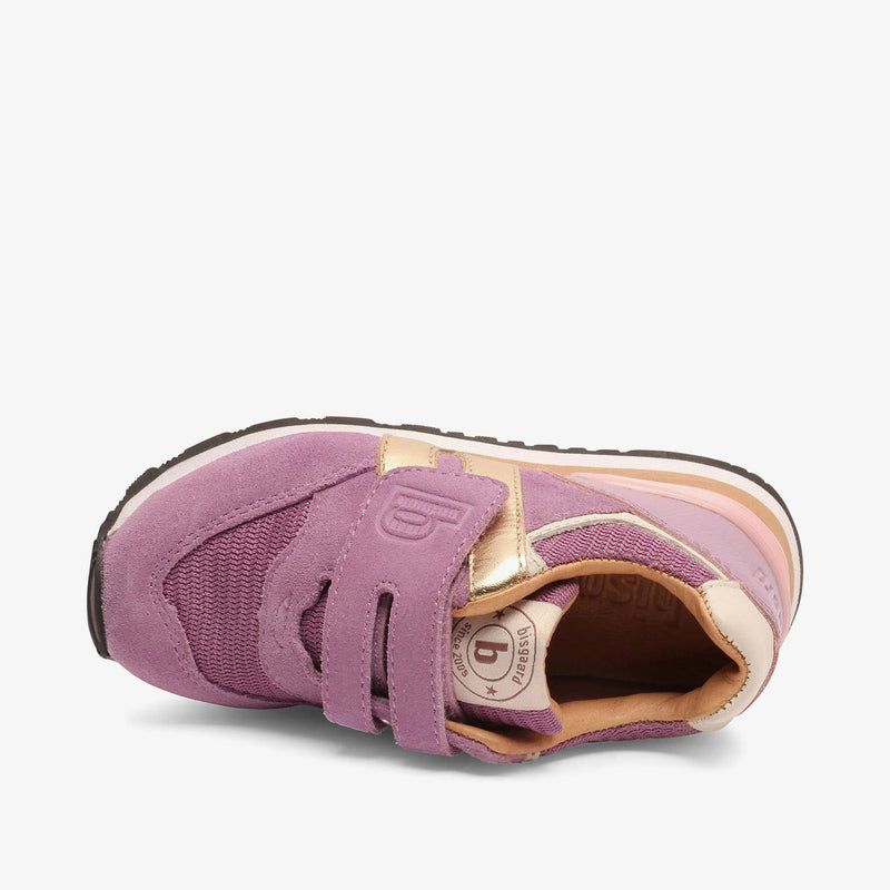 winston s lavender - Violett
