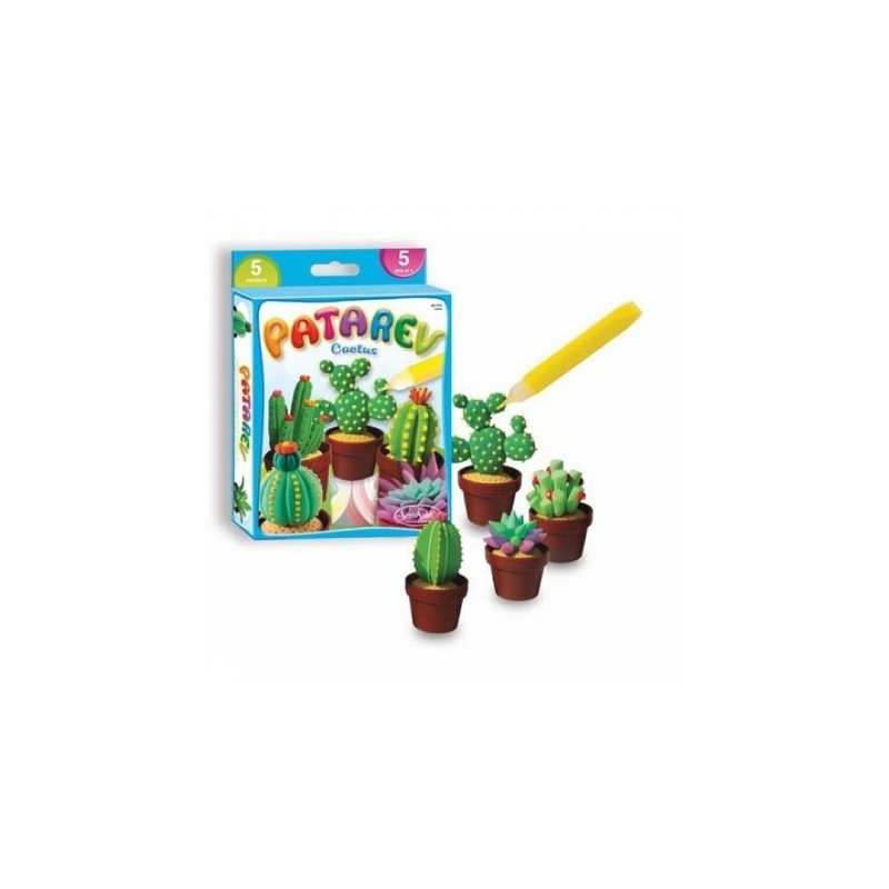 Patarev mini cactus