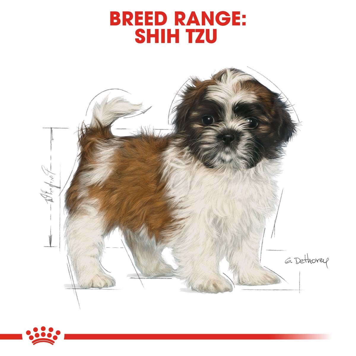 ROYAL CANIN Shih Tzu Puppy Welpenfutter trocken bei ZooRoyal