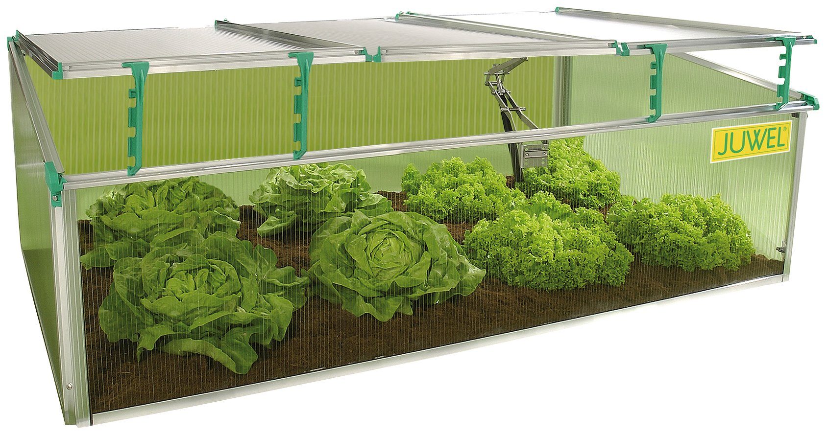 Juwel Frühbeet Premium BIOSTAR 1500, BxTxH: 150x80x50/40 cm